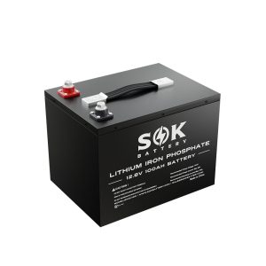 1. sk12v100h main image